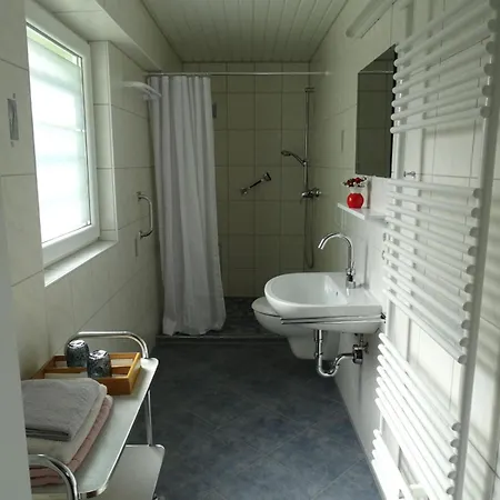 Apartment Grosszuegige Zwei-zimmerwohnung